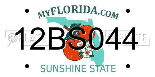 12BS044 Florida License Plate