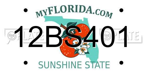 12BS401 Florida License Plate