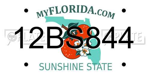 12BS844 Florida License Plate