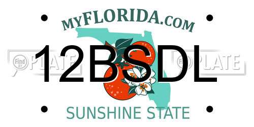 12BSDL Florida License Plate