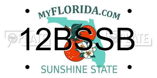 12BSSB Florida License Plate