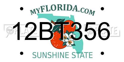 12BT356 Florida License Plate