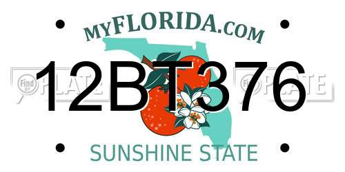 12BT376 Florida License Plate