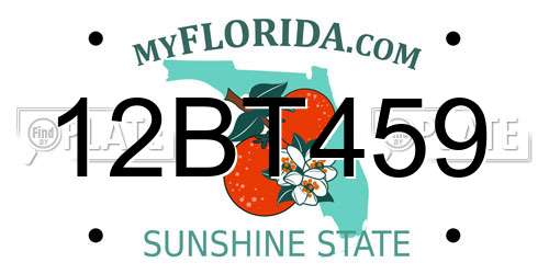 12BT459 Florida License Plate