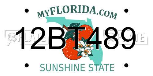 12BT489 Florida License Plate