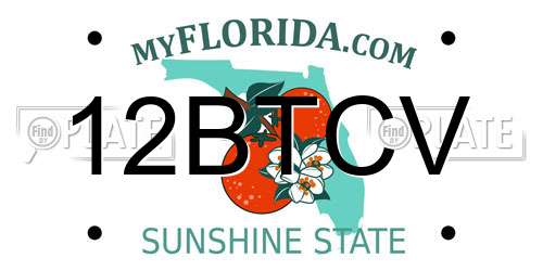 12BTCV Florida License Plate