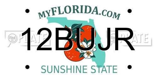 12BUJR Florida License Plate