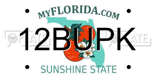12BUPK Florida License Plate