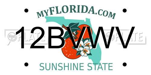 12BVWV Florida License Plate