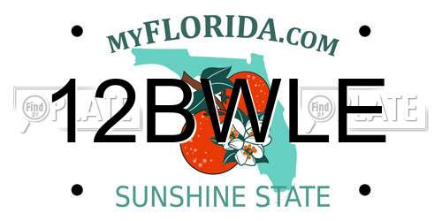 12BWLE Florida License Plate