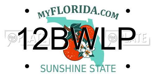 12BWLP Florida License Plate