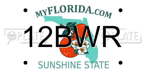 12BWR Florida License Plate