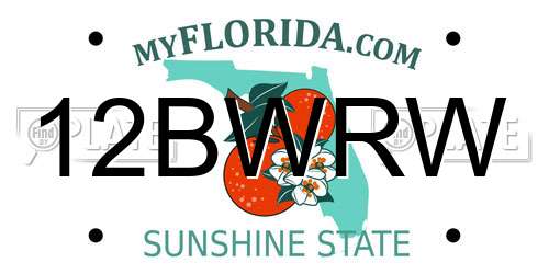 12BWRW Florida License Plate