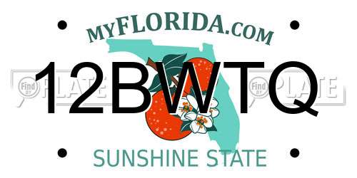 12BWTQ Florida License Plate