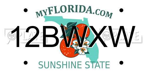 12BWXW Florida License Plate