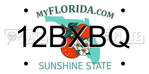 12BXBQ Florida License Plate