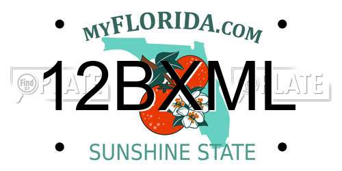 12BXML Florida License Plate