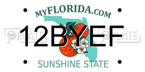 12BYEF Florida License Plate