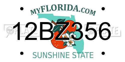 12BZ356 Florida License Plate