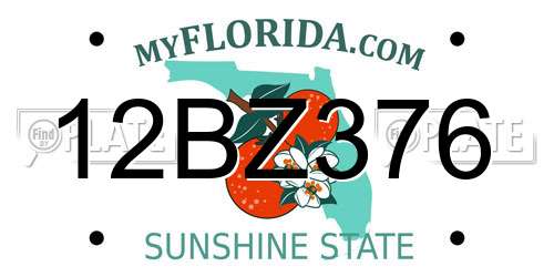 12BZ376 Florida License Plate