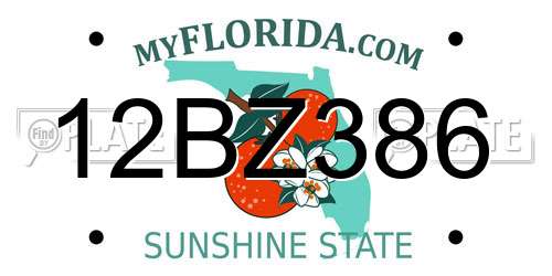12BZ386 Florida License Plate