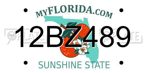 12BZ489 Florida License Plate