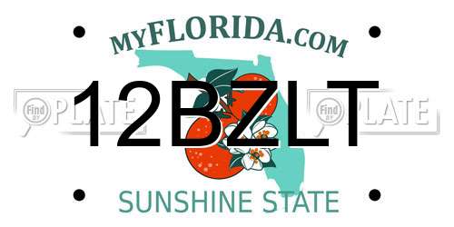 12BZLT Florida License Plate