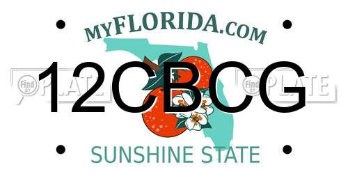 12CBCG Florida License Plate