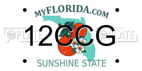 12CCG Florida License Plate