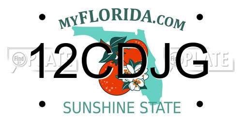 12CDJG Florida License Plate