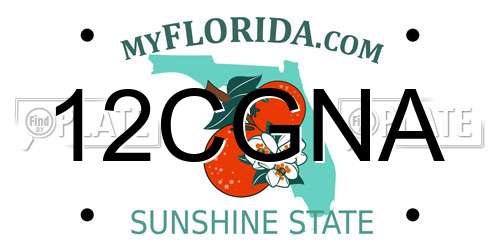 12CGNA Florida License Plate