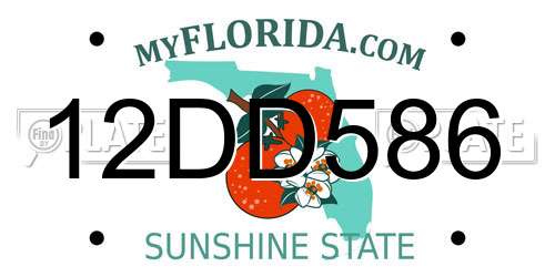 12DD586 Florida License Plate