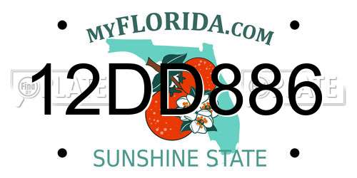 12DD886 Florida License Plate