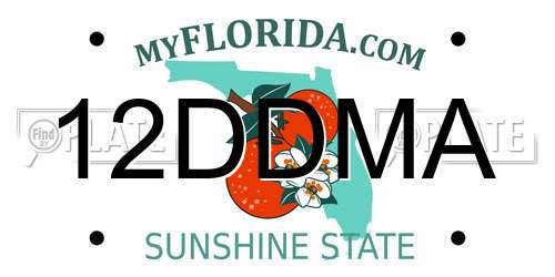 12DDMA Florida License Plate