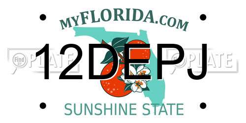 12DEPJ Florida License Plate