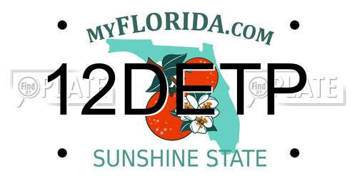 12DETP Florida License Plate