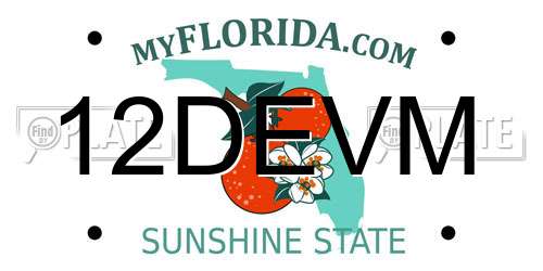 12DEVM Florida License Plate