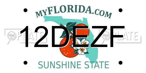 12DEZF Florida License Plate
