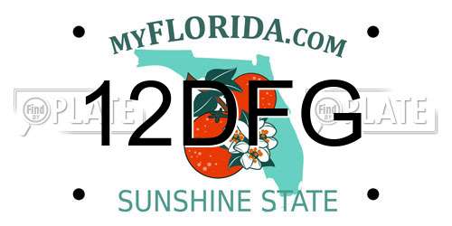 12DFG Florida License Plate