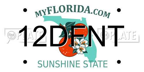 12DFNT Florida License Plate