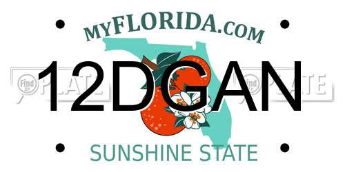 12DGAN Florida License Plate