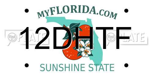 12DHTF Florida License Plate