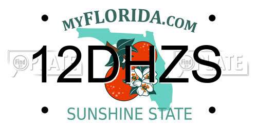 12DHZS Florida License Plate