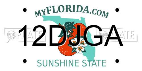 12DJGA Florida License Plate