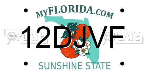 12DJVF Florida License Plate
