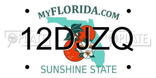 12DJZQ Florida License Plate