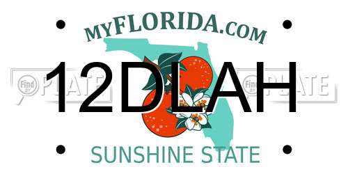 12DLAH Florida License Plate