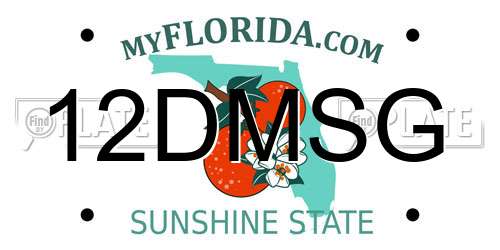 12DMSG Florida License Plate