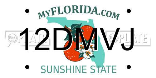 12DMVJ Florida License Plate