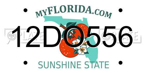12DO556 Florida License Plate